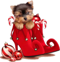 a cute christmas friend